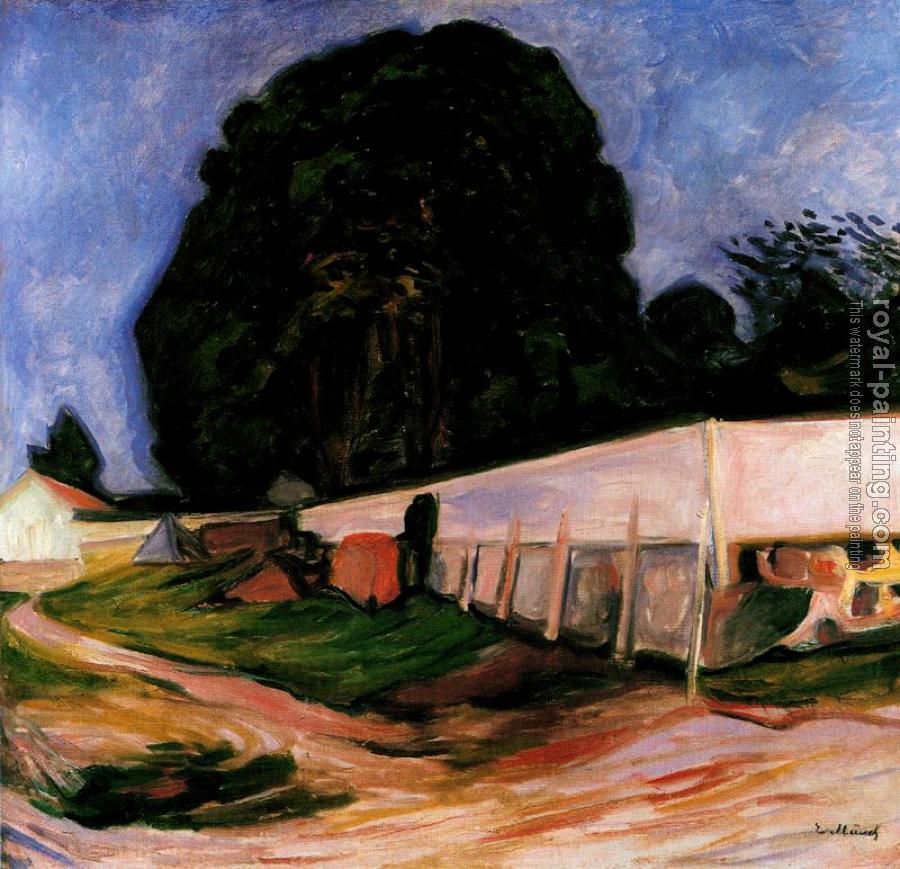 Edvard Munch : Summer Night at Aasgaardstrand